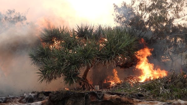 Bushfire on heritage site of Fraser Island last month