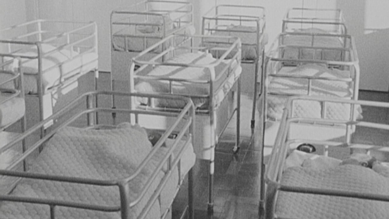 As it happenedState apology over motherandbaby homes