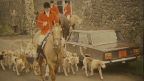 Westmeath fox hunt (1981)