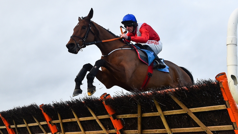 Envoi Allen is a two-time winner at Cheltenham