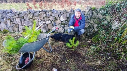 Brendan Dunford in the Burren with the saplings