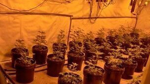 Gardaí said a sophisticated growhouse was located in the residence