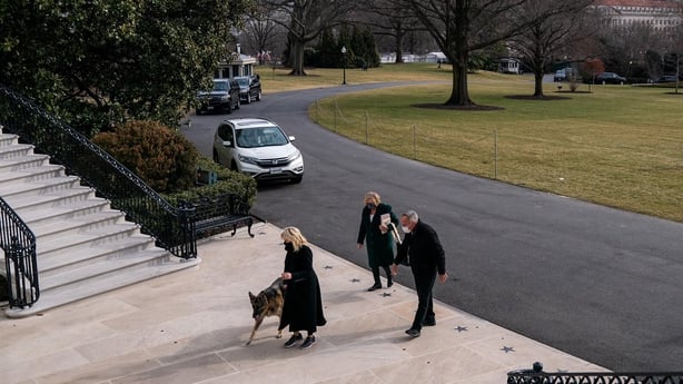 Biden 'First Dogs' move into White House