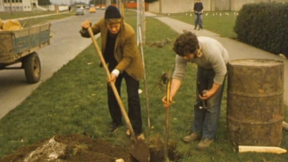 Dublin Corporation Tree Planting (1976)