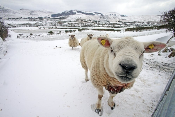 How A Sudden Stratospheric Warming Event May Bring Snow And Ice