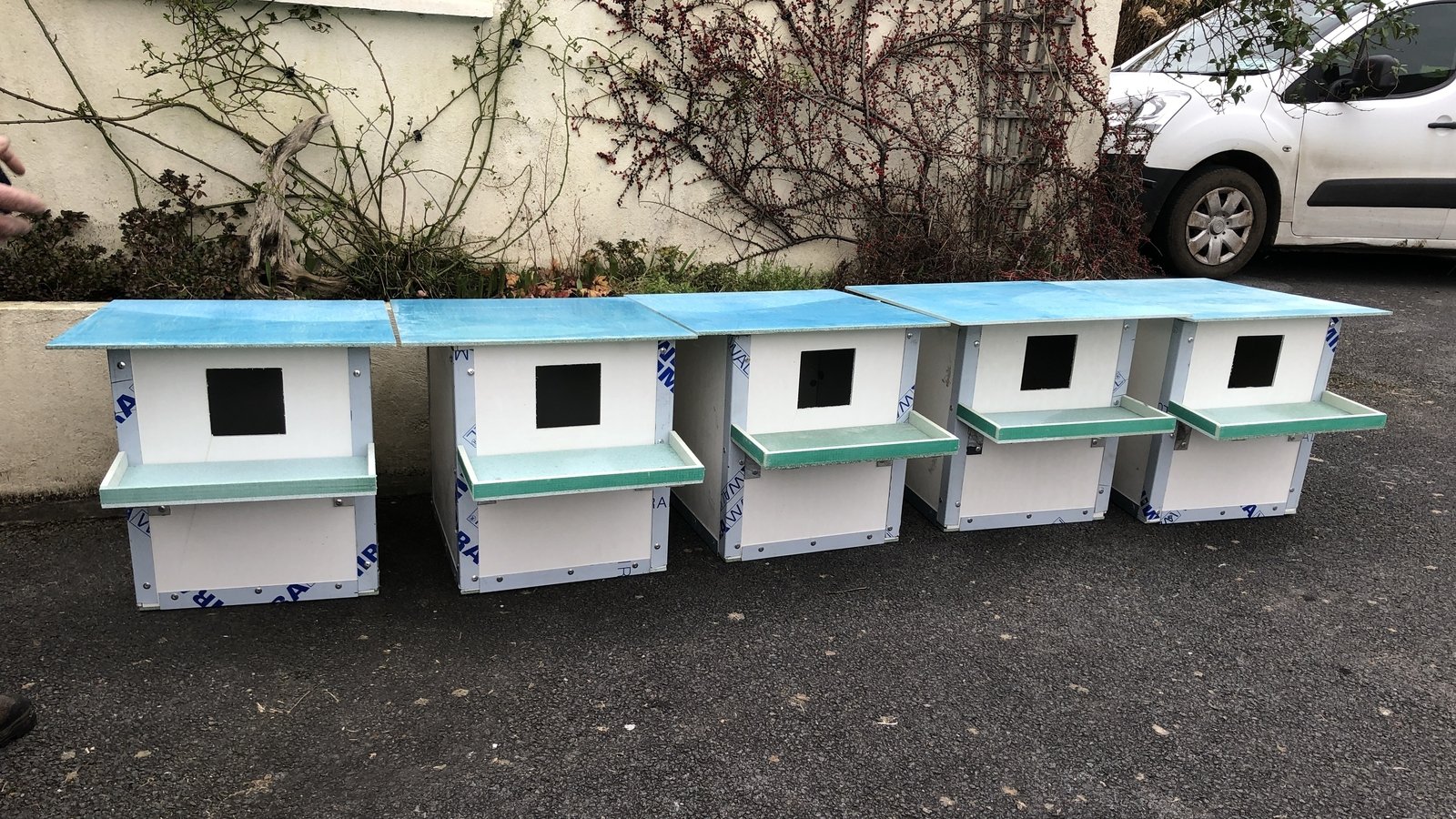 pair-build-nesting-boxes-for-barn-owls-in-galway