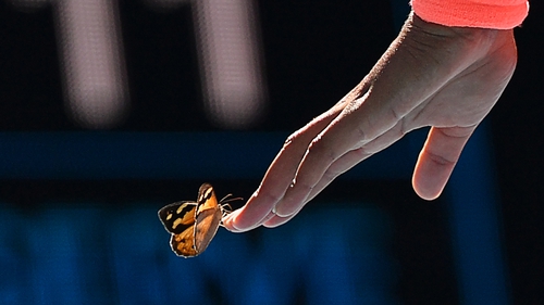A butterfly lands on Japan's Naomi Osaka as she plays against Tunisia's Ons Jabeur