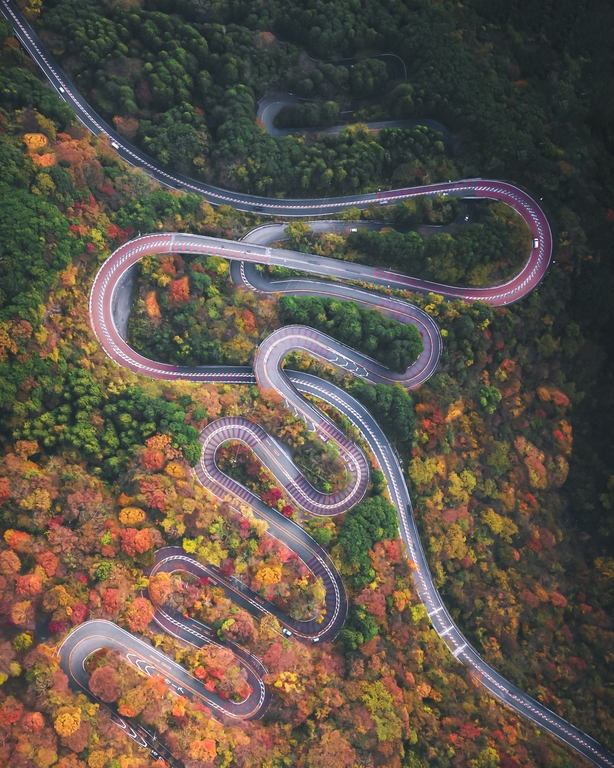 Autumn Snake by Hiroki Nose, Japan, 2nd Place, National Awards, 2021 Sony World Photography Awards (Hiroki Nose/PA)
