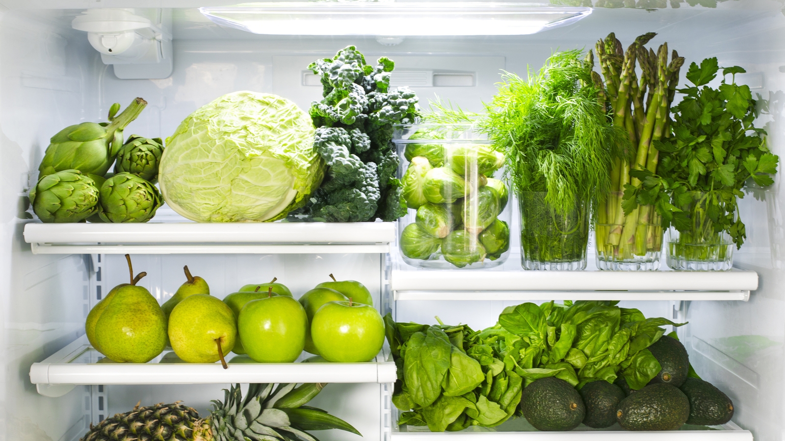 Science at home how does your fridge work 