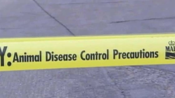 Foot and Mouth Disease Outbreak in the UK (2001)