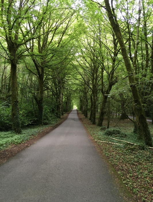 Today with Claire Byrne