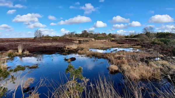 The law will set legally binding targets and requirements for rewetting peatlands