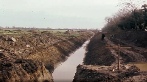 Meath Archaeological Digs (1976)