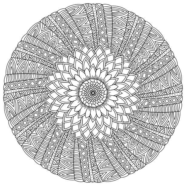 3rd and 4th Class: Maths - Fibonacci sequence