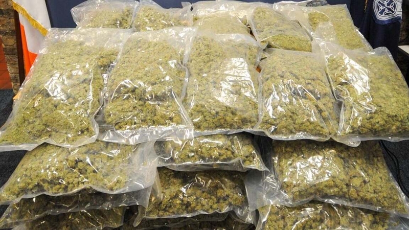 Three Arrested And Cannabis Worth €720 000 Seized