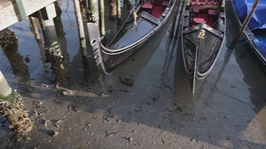 Gondolas stuck in low tide in a Venetian canal today