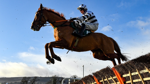 French Aseel, with Denis O'Regan up, clears a hurdle at Leopardstown last December