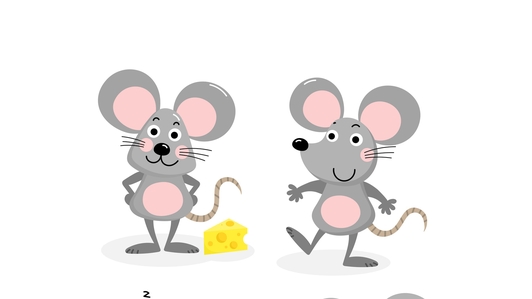 Today with Claire Byrne