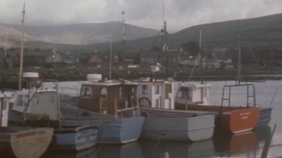Fishing boats, Dingle harbour (1981)