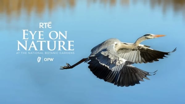 The 2022 Eye on Nature winner will be announced live on The Today Show on Wednesday, 27 April.