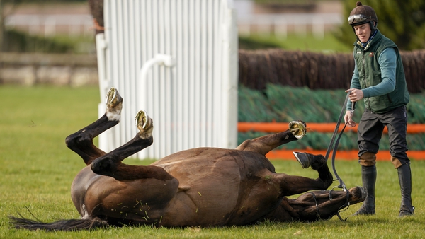 Appreciate It enjoying a roll on the grass of the Cheltenhm gallops this morning