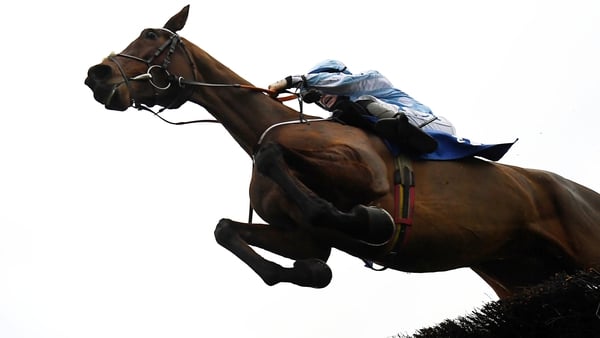 Honeysuckle was a winner at the Cheltenham meeting 12 months ago when coming out on top in a titanic battle with Benie Des Dieux in the Mares' Hurdle, but is in against the boys this time - as well as fellow mare and last year's winner Epatante