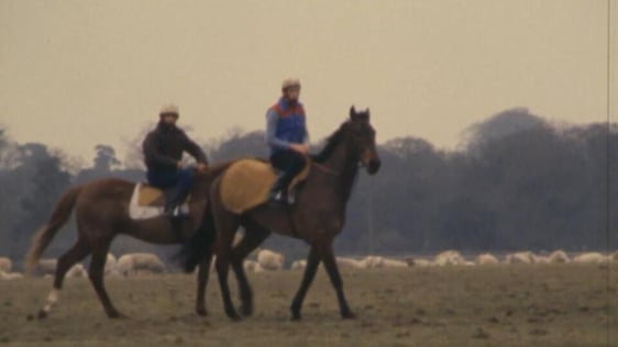 Apprentice jockeys, the Curragh (1981)