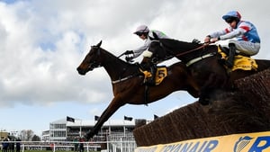 Can Saint Calvados (near side) deliver in the Ryanair Chase?