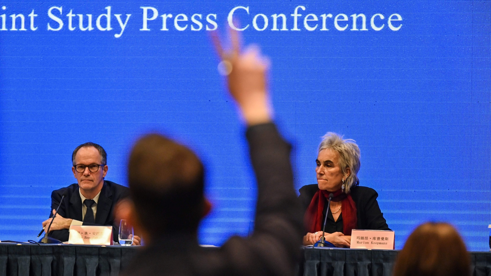 Image - A press conference held at the conclusion of the WHO visit to the the city of Wuhan