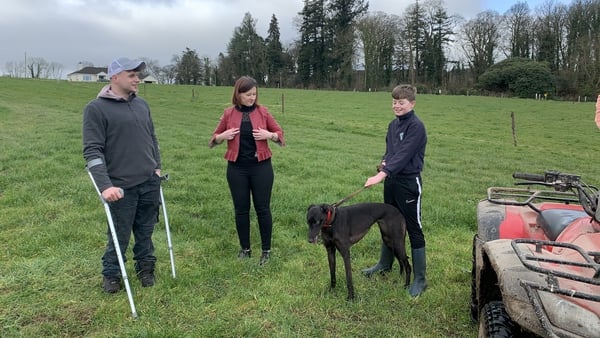 Through Social Prescribing, Gearóid O'Brien was able to link up with greyhound trainer Peter Cronin, and now trains 16 dogs