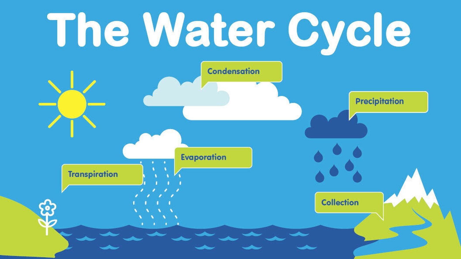 Annual watercycle