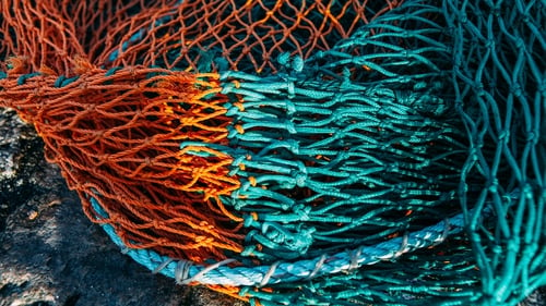 The International Transport Workers' Federation (ITF) says injuries sustained by migrant fishers are being linked to a culture of excessive hours