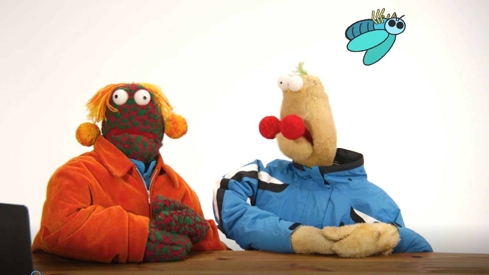 Zig & Zag answer Ever wondered how flies can walk on ceilings?