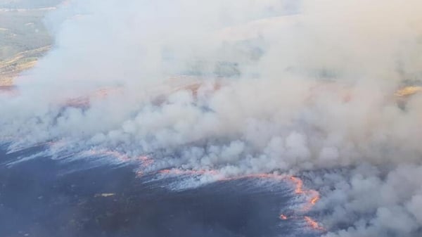 An aerial photograph of fires in the Slieve Bloom Mountains last year (Pic: Coillte)