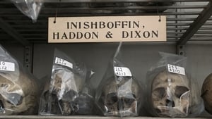 The Haddon Dixon Collection in the Skull Passage in Old Anatomy. Each skull was kept in a protective cover and labelled with its catalogue number in preparation for a conservation programme that is ongoing. Photo: Ciaran Walsh