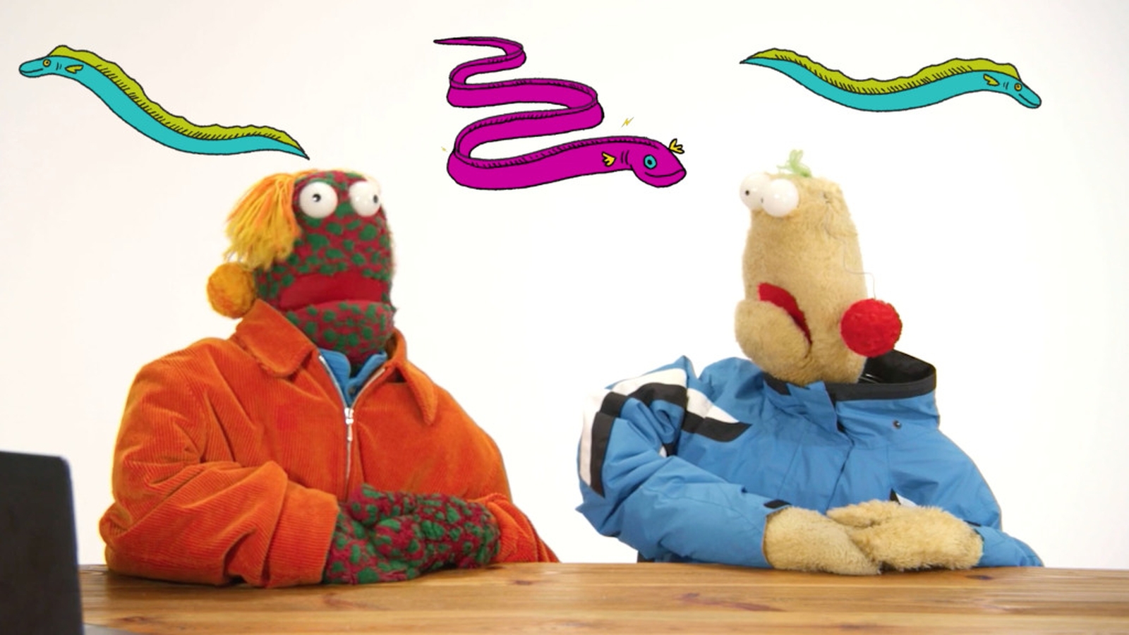 Zig & Zag answer Are electric eels actually electric?