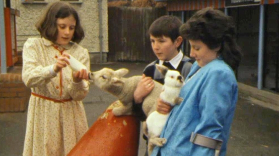 Cathy Toolin from Raheny, Áine Green from Drogheda, and William Devoy from Tallaght at the Pet's Corner in Dublin Zoo (1986)