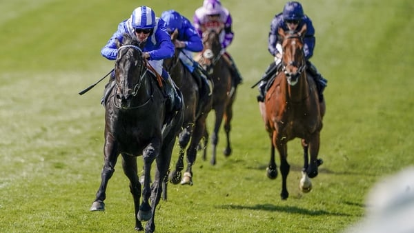 Mutasaabeq will make just his third lifetime start in the 2000 Guineas