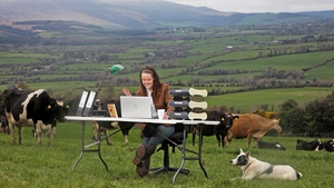 Dairy entrepreneur, Maighre?ad Barron, on her County Waterford farm launching ifac's annual Farm Report