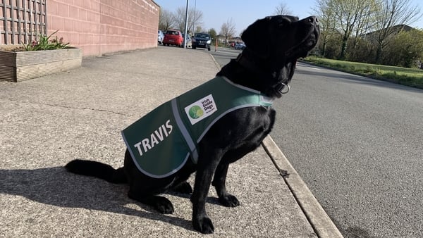 Travis has been in St Peter's Community College since September