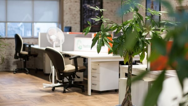 In Ireland we have many successful examples of co-working spaces, including Ludgate in West Cork Photo: RTÉ