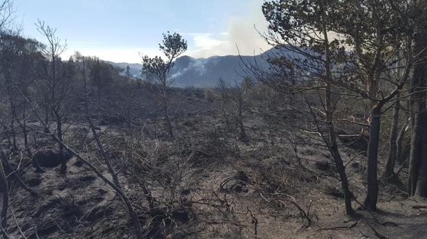Killarney national park fire damage