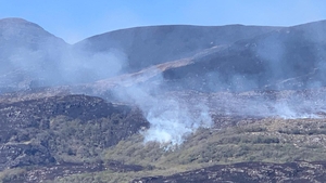 Wildfires in Killarney National Park
