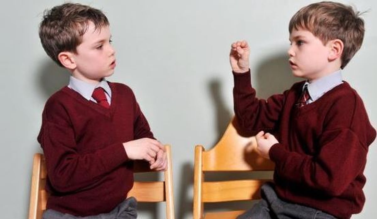 The Struggles of Deaf Children and their Parents in Ireland The Struggles of Deaf Children and their Parents in Ireland