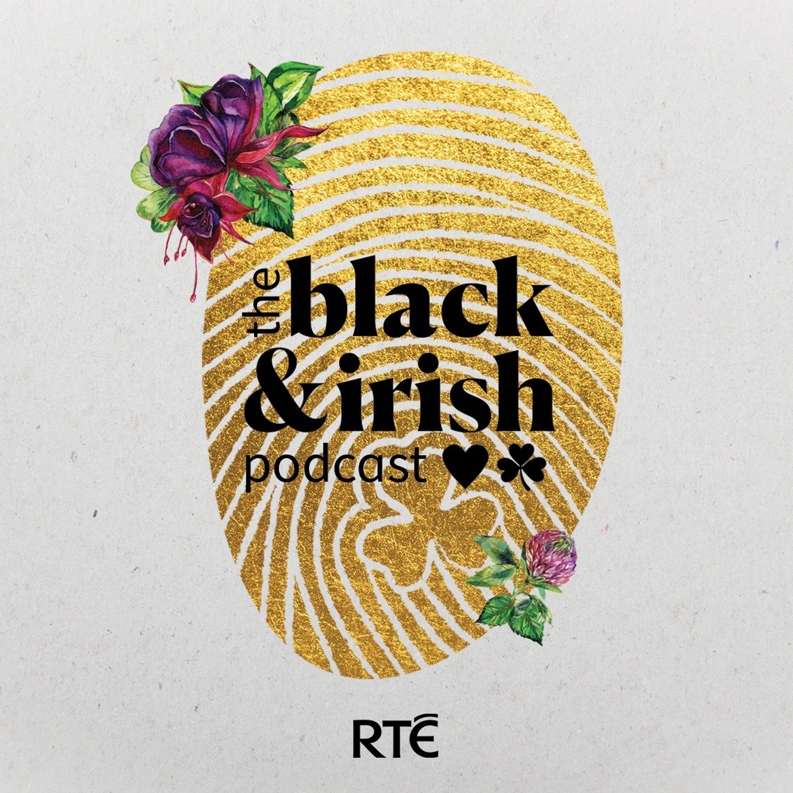 The Black and Irish Podcast podcast show image