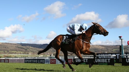 Honeysuckle is strongly fancied to claim the Paddy Power Champion Hurdle