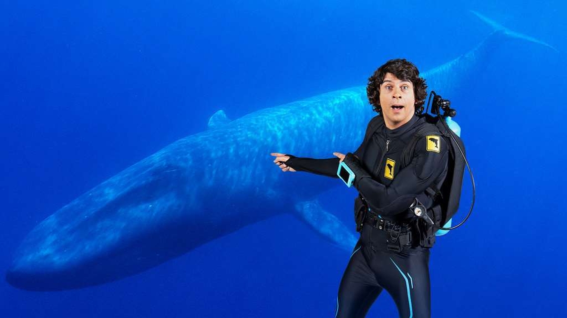 Andy's Aquatic Adventures - RTÉ Player