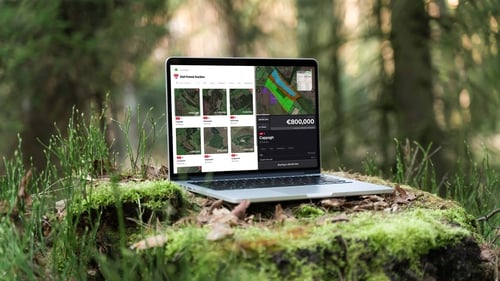 The Forestbidder.com platform