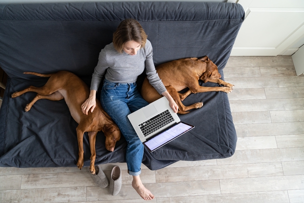 Work-from-home policies and successive Covid lockdowns led to a surge in animal adoptions