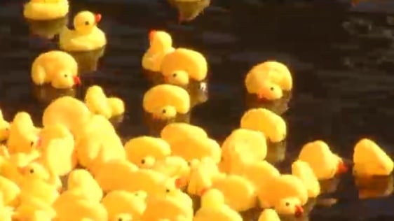 Duck race record attempt, 2006.